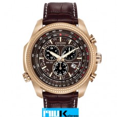 ساعت مچی مردانه سیتیزن اکودرایو ECO-DRIVE; PILOT'S BL5403-03X